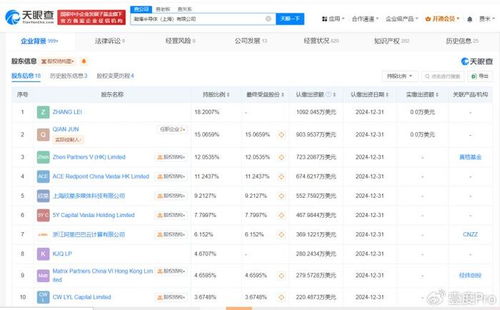 阿里云领投瀚博半导体，加速信息系统集成服务创新布局